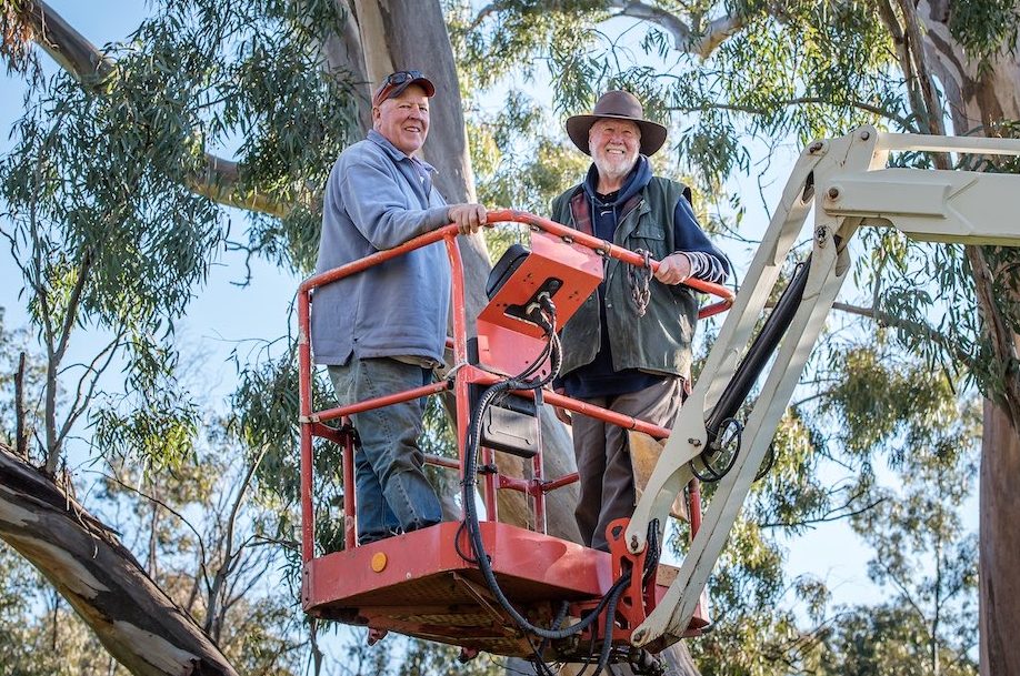 Neil’s superb plan to save endangered parrots