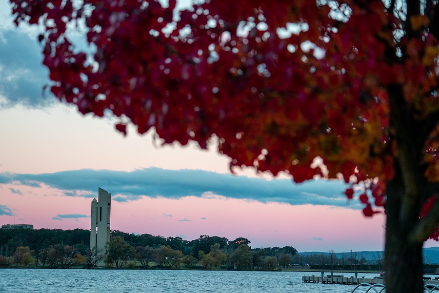 Restoration works commence on the National Carillon