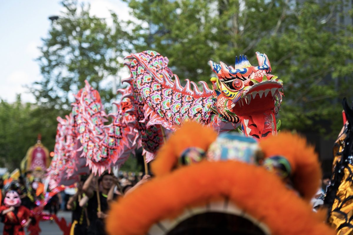 Multicultural festival sets new records