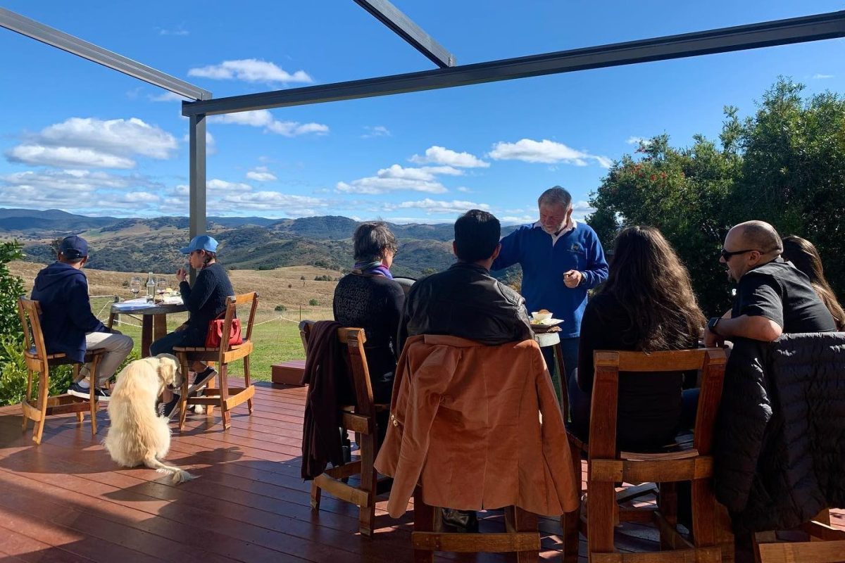 Thirsty tourists bring bright patch to wineries