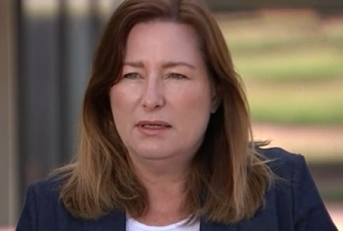 Berry faces censure from Liberals and Greens