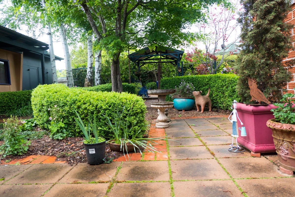 Cedric’s garden reminds us of what’s being lost