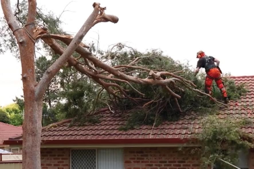 Three states on alert over wild storms