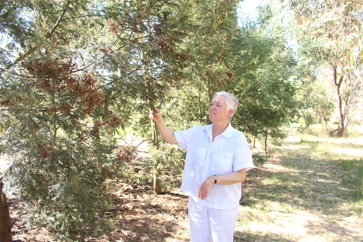 Special park for group with a Tablelands mission