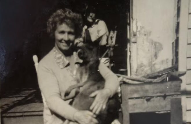How ‘Lady’ Williams founded a great Australian apple