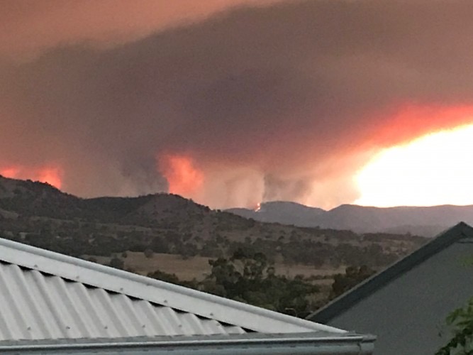 Oldies bounce back from bushfire blues