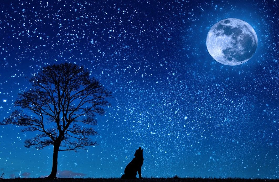 Are we alone in the universe?