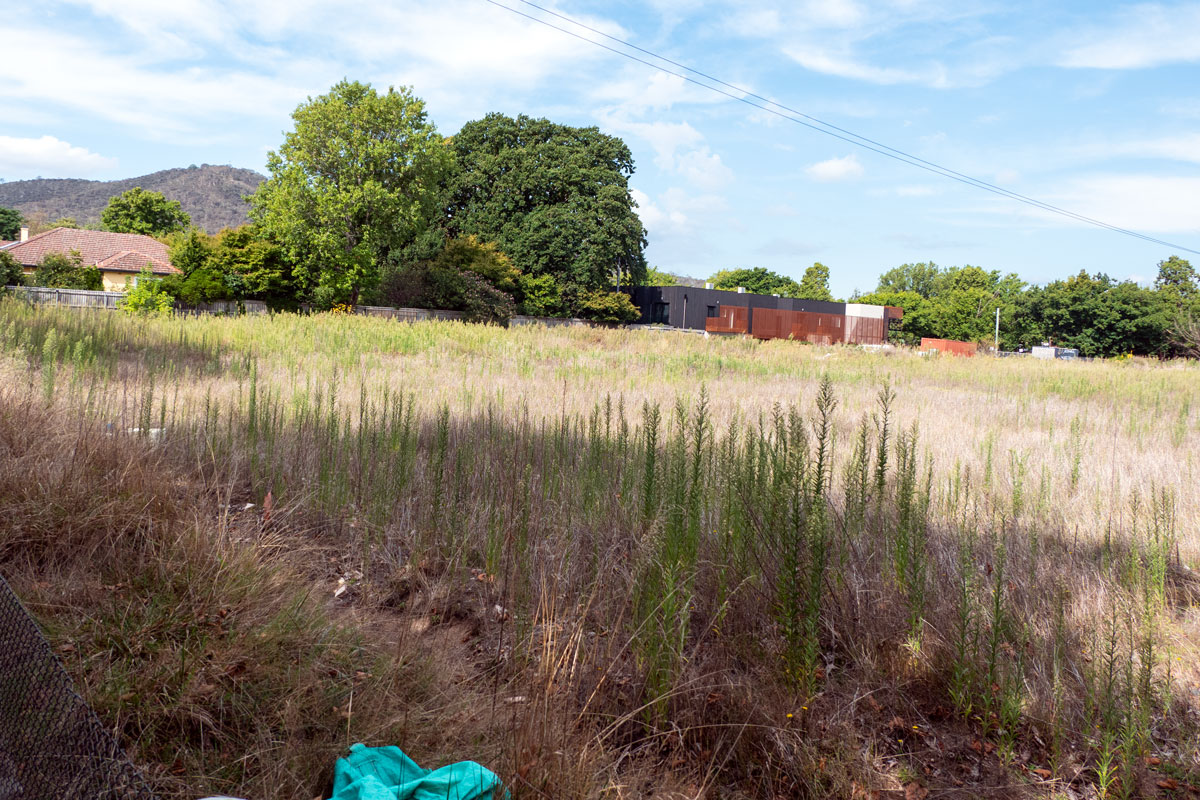 Greens lost to weeds as old bowlo awaits its fate