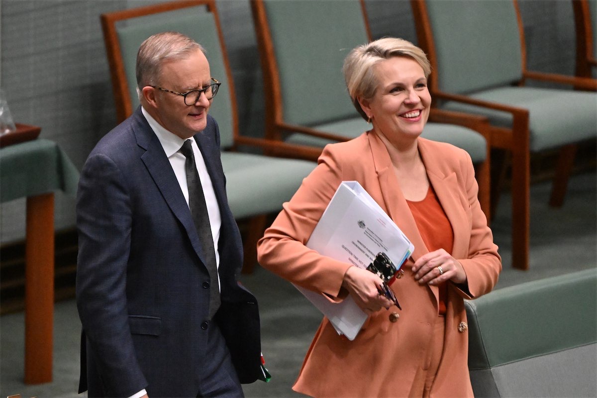 Would Plibersek have been bolder than Albanese?