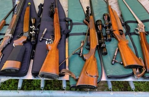 Guns seized in Gilmore police swoop