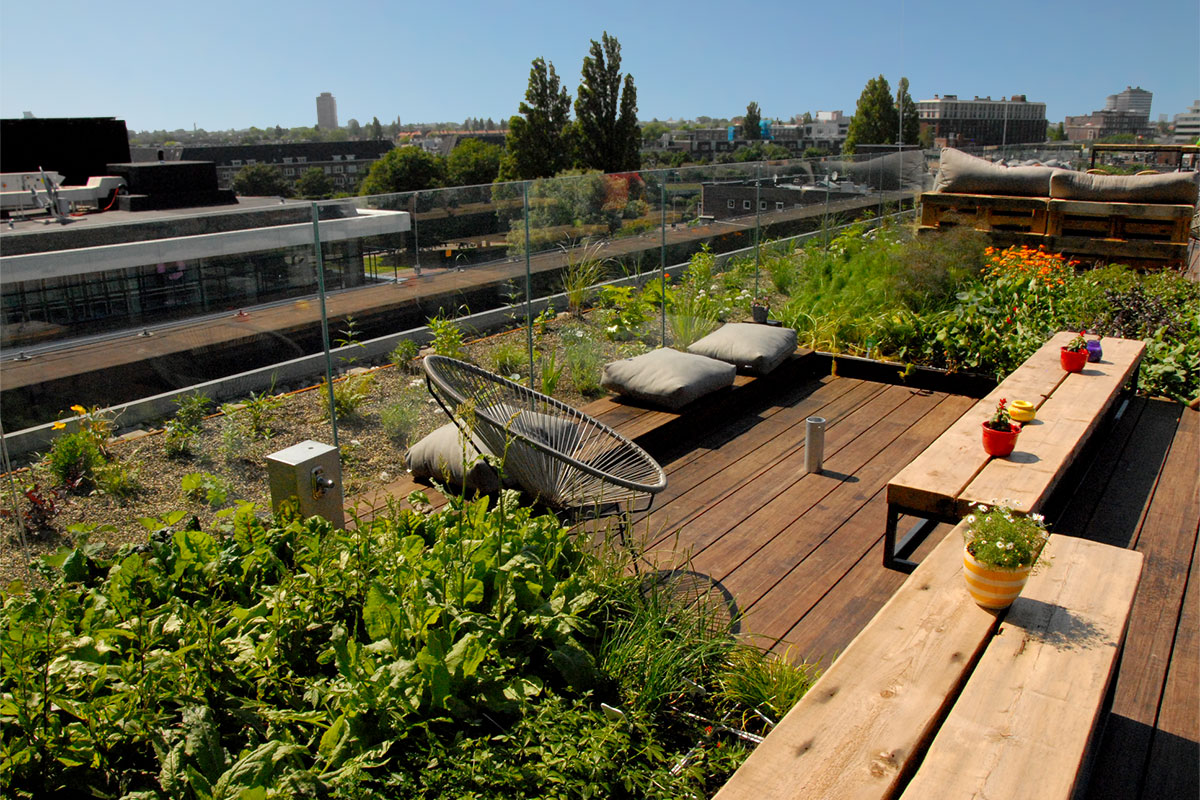 Urban planning can mean future life and death