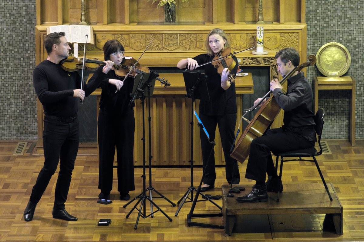 High-quality concert of moods and colours