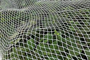 ‘Extinction crisis’ brings on netting ban
