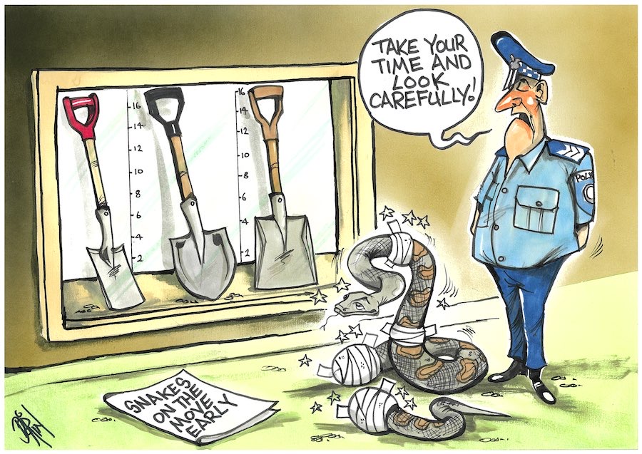 Cartoon / Dose of Dorin