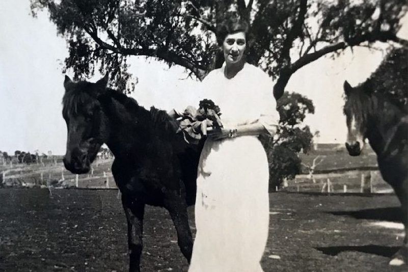 Millicent’s ‘lost’ plays brought back from the bush