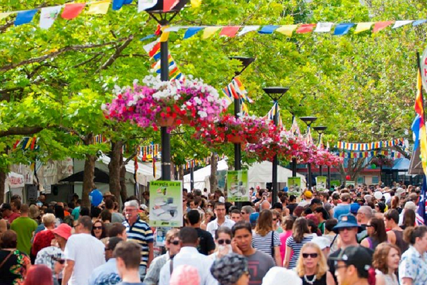 Multicultural Festival wins national award