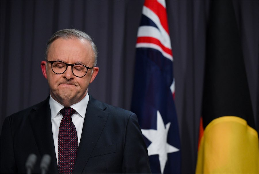 Albanese’s referendum has done much harm