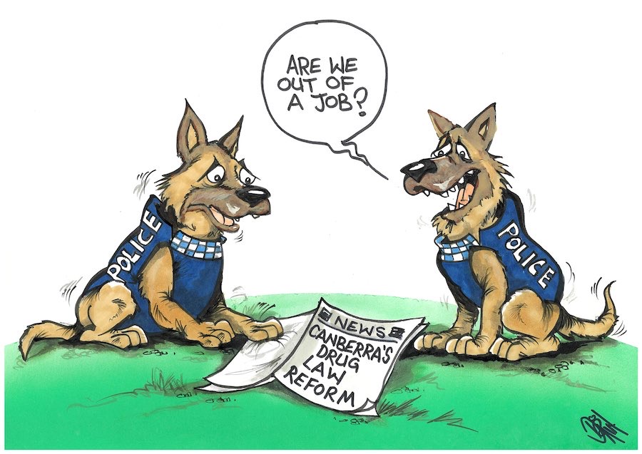 Cartoon / Dose of Dorin