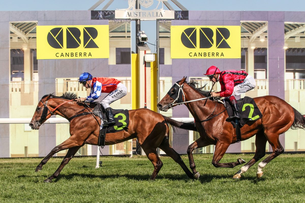 Italian jockey dies after Canberra race fall 
