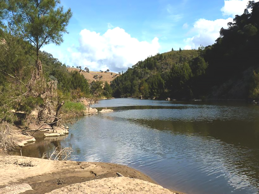 Community rally for gorge protection