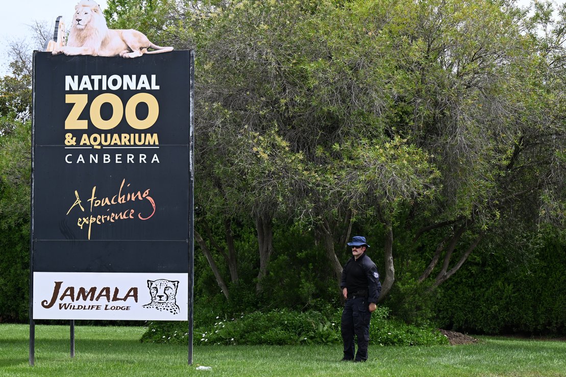 ‘Sorrowful’ zoo re-opens after fatal stabbing