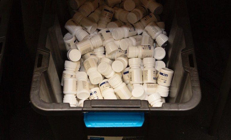 Biggest drug bust ever for ACT police
