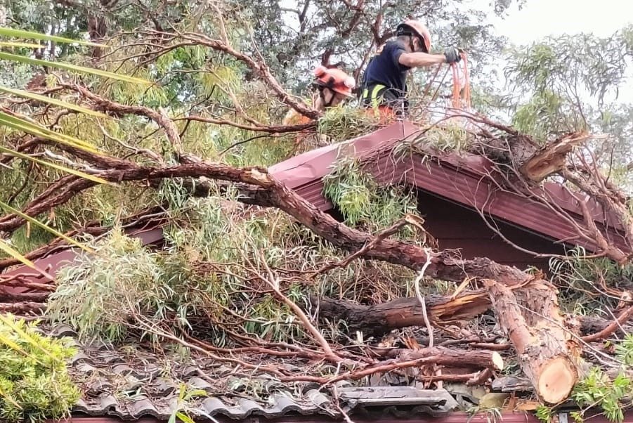 Emergency services responding to nearly 900 calls