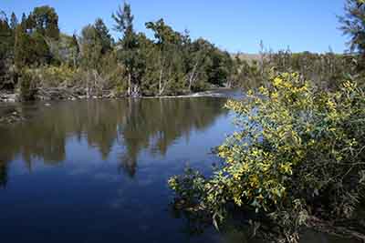 Man drowns at Pine Island Reserve