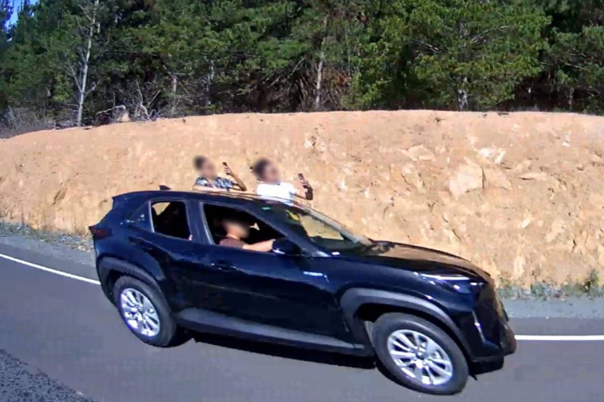 Drugged driver with passenger clowns