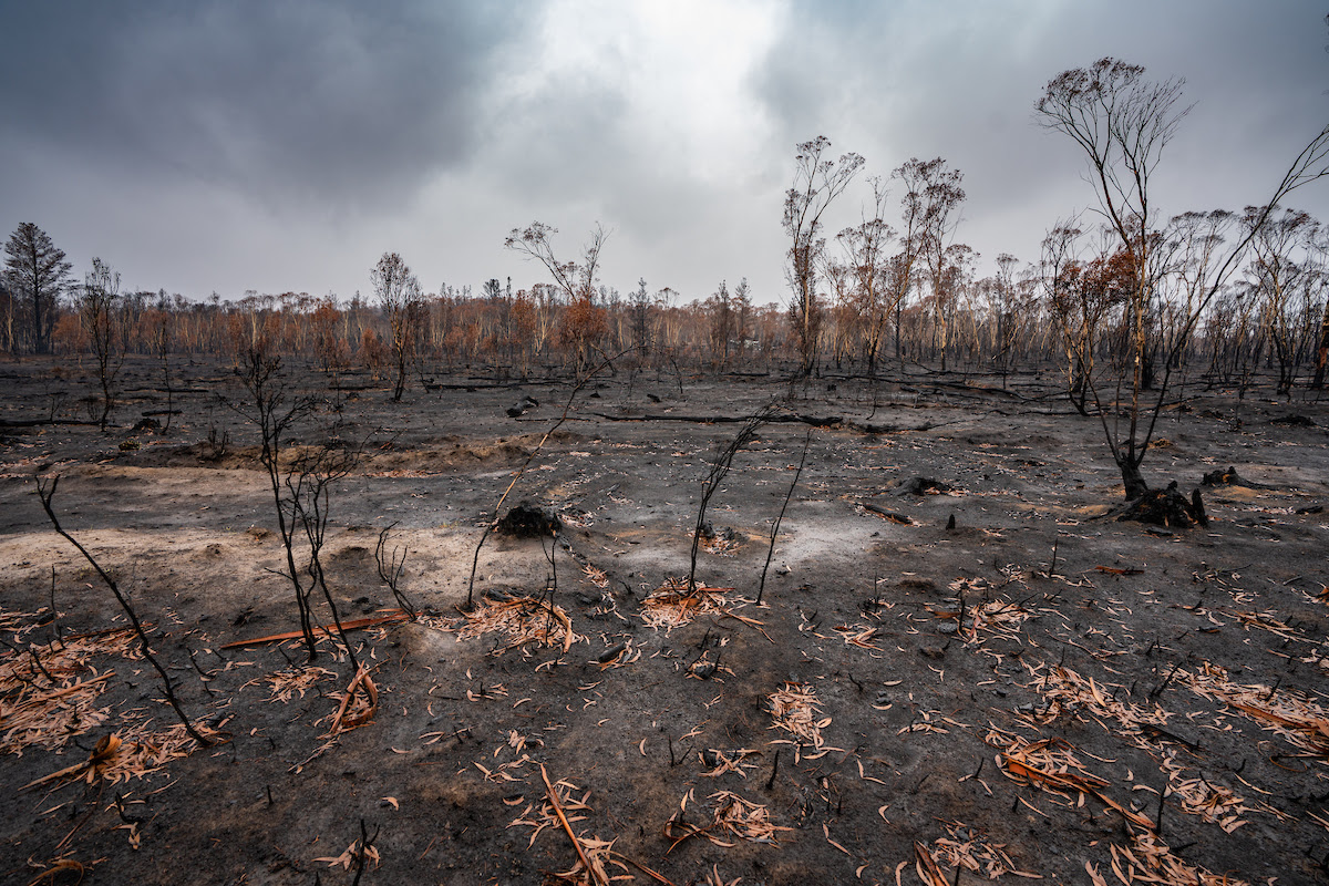 Record heat worsened global weather