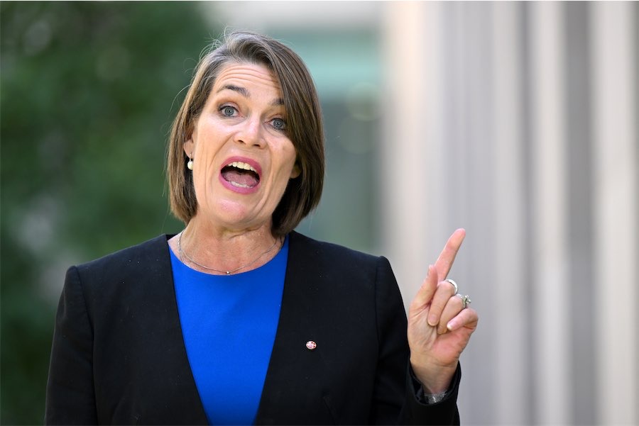 ‘I don’t think I was drunk’: Nats deputy leader