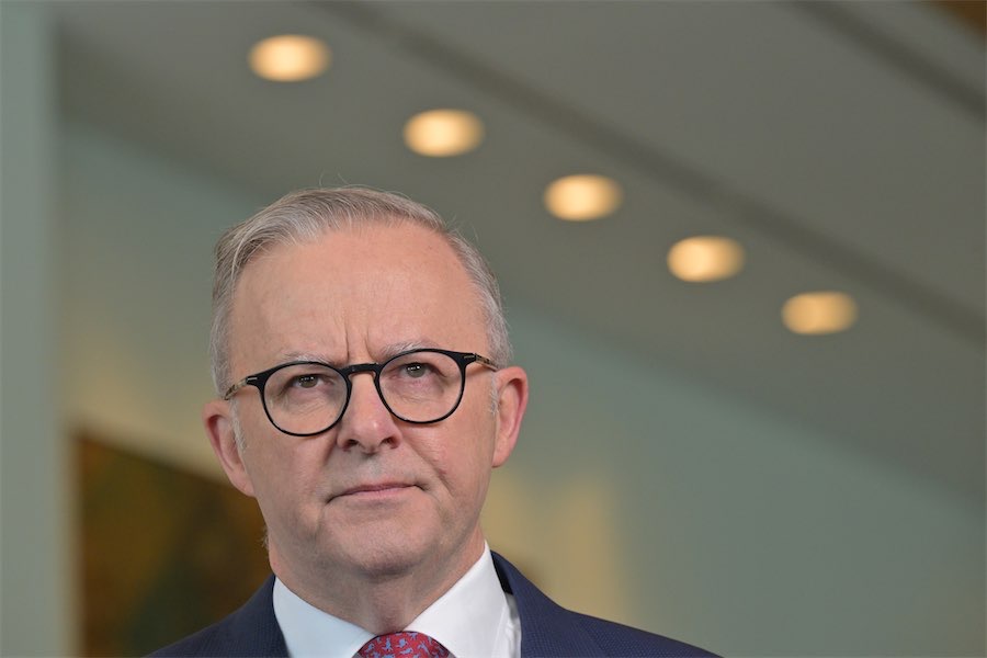 Albanese rules out early election