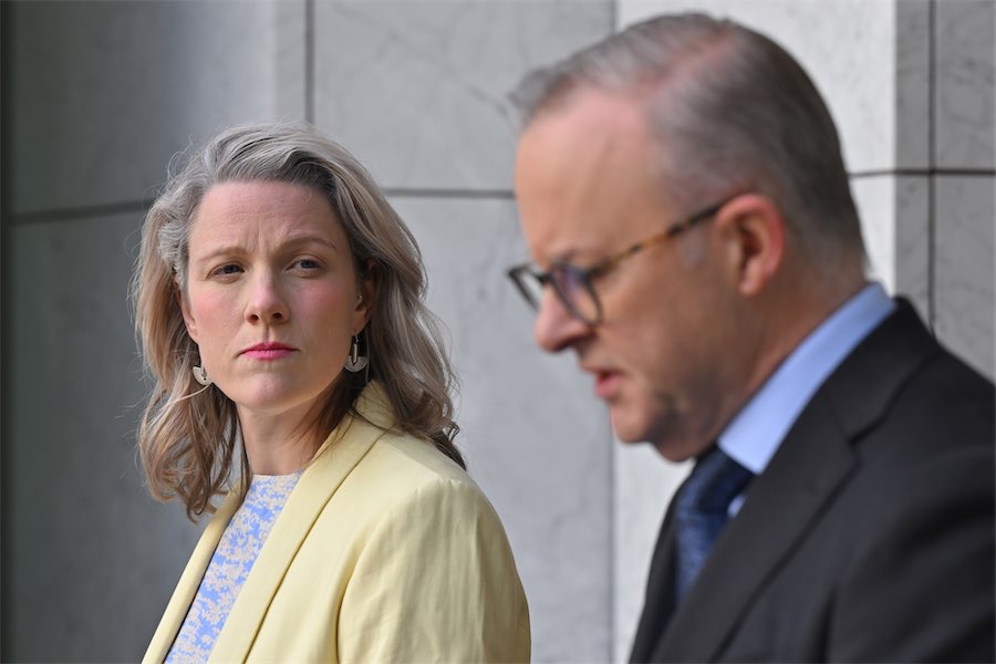 Albanese navigates through choppy political seas