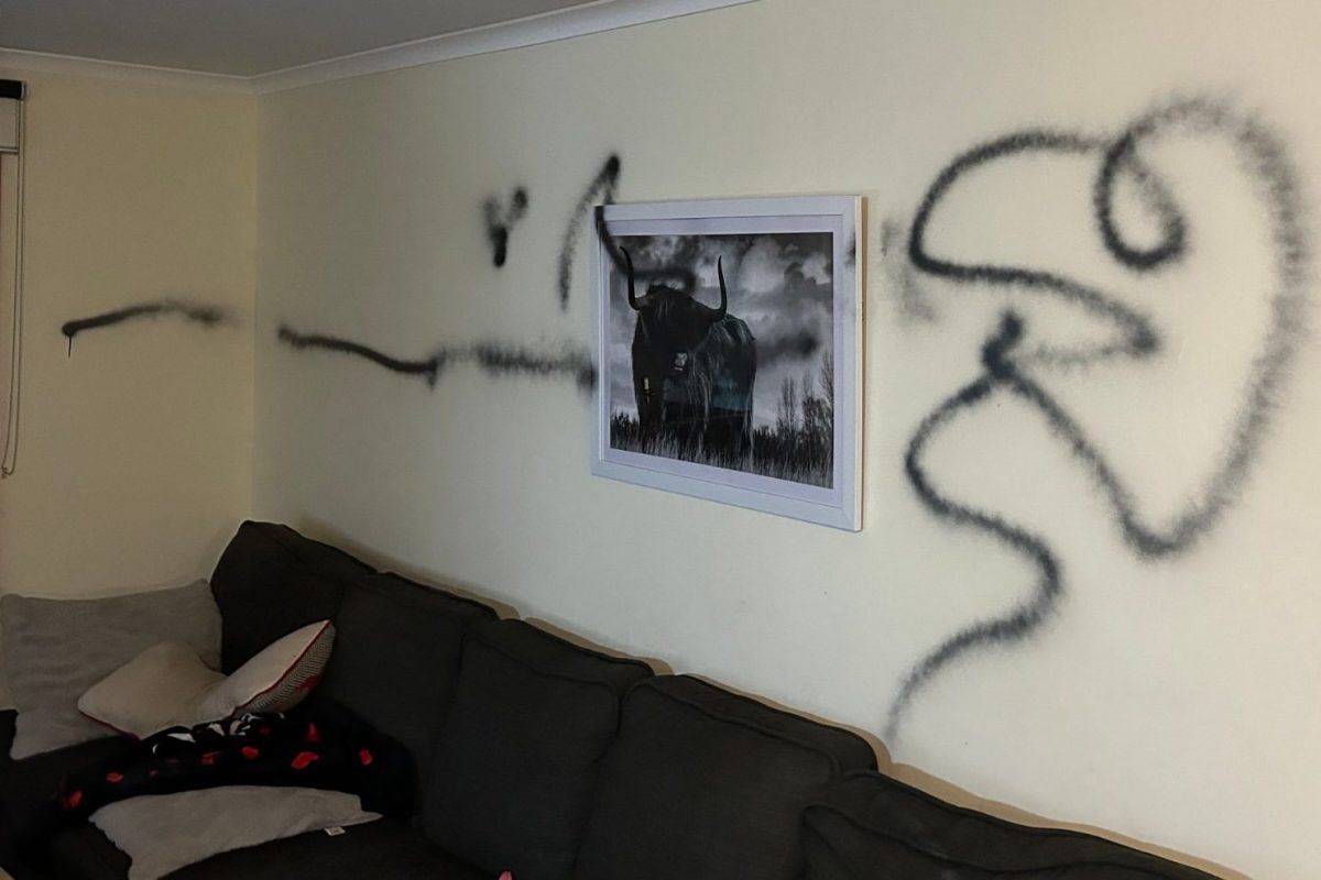 Woman returns to find home being trashed