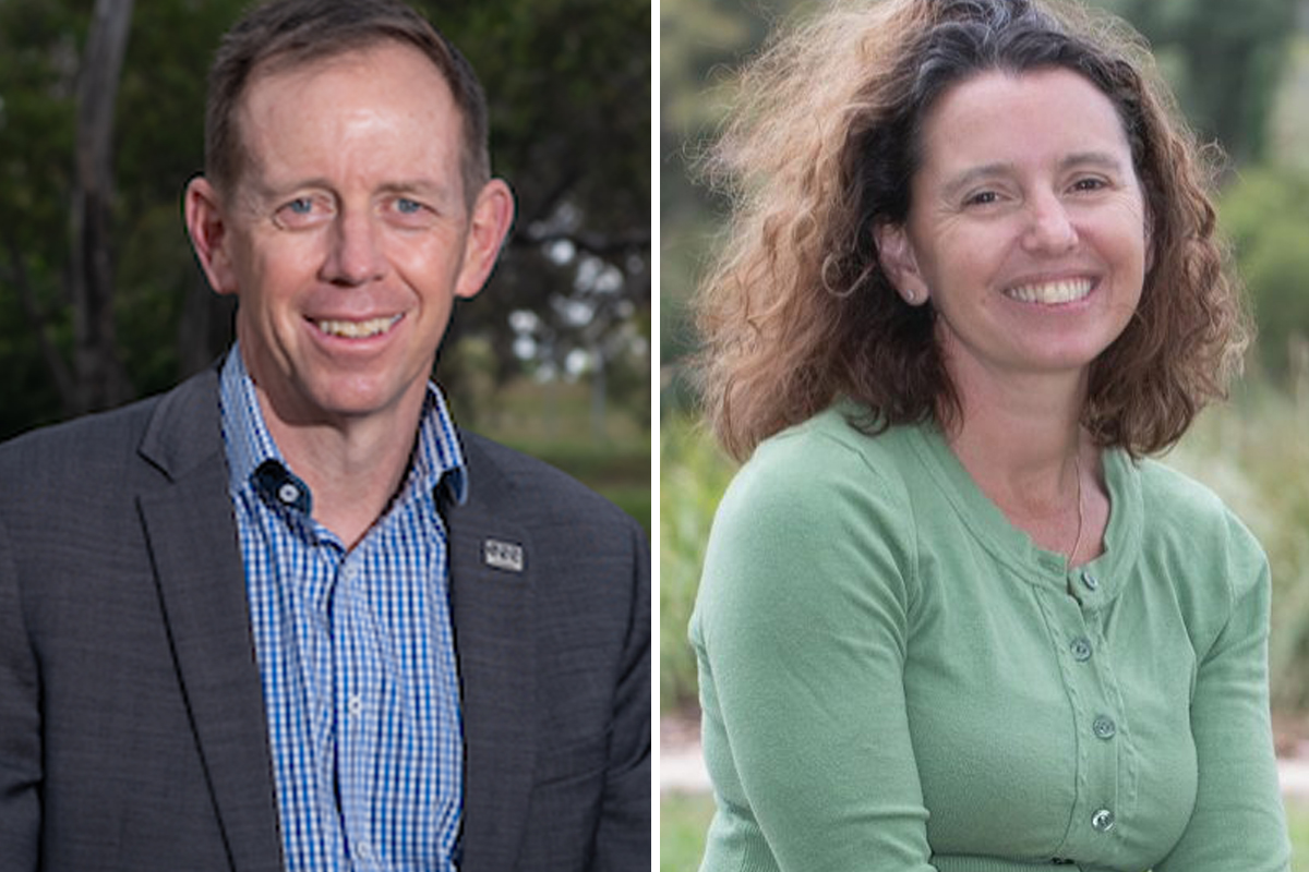 Hypocritical Greens and their housing chutzpah