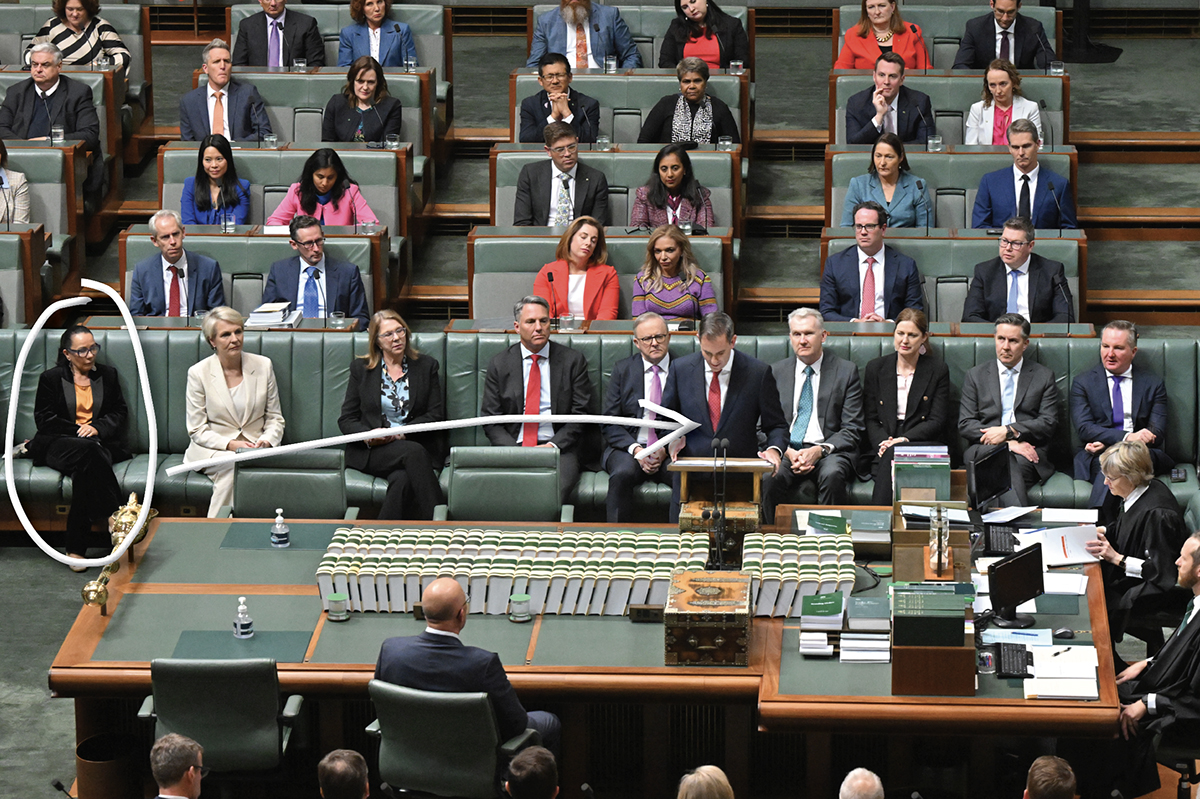 Treasurer’s budget speech was a damned disgrace
