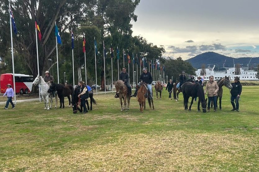 Brumbies cull protesters come to Canberra