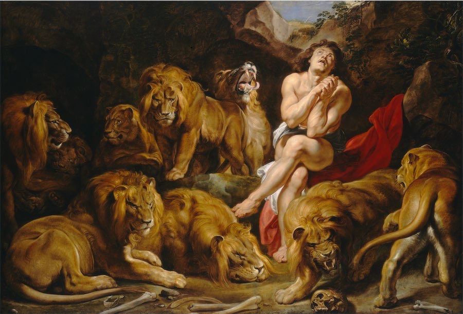 ‘Daniel’ heads back to the lion’s den, good luck with that