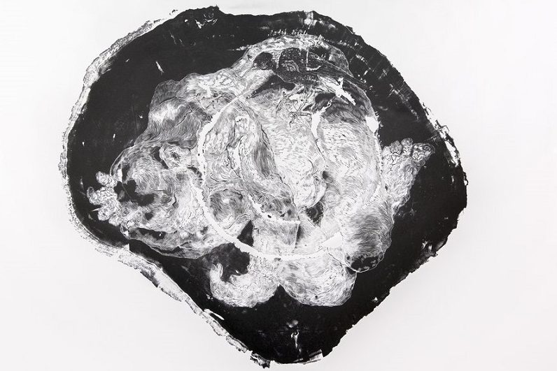 Artist finds beauty in nature, alive and dead