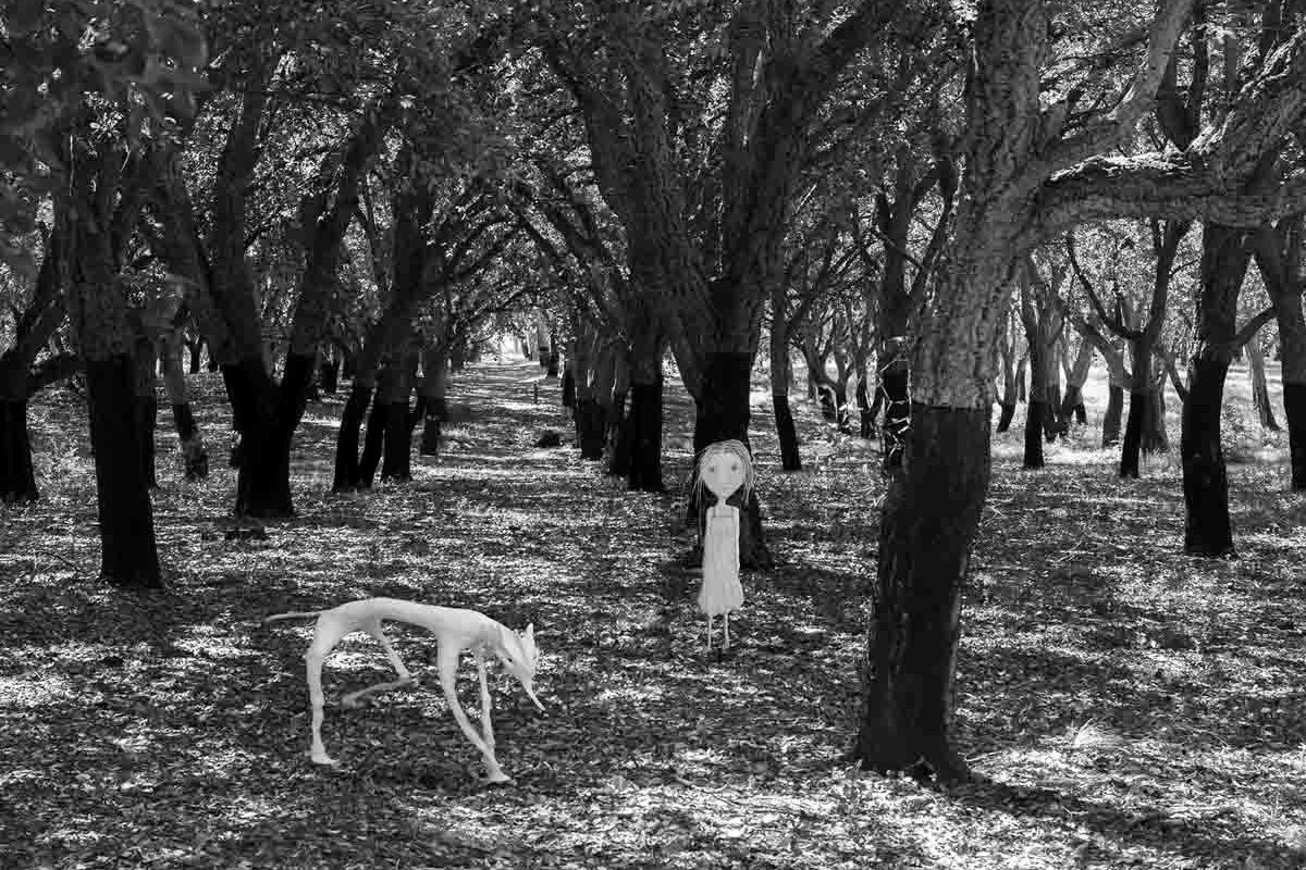Photo prize: so much talent, what to pick?