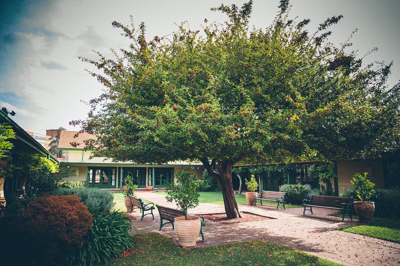 Lost: the value of open space and shady trees