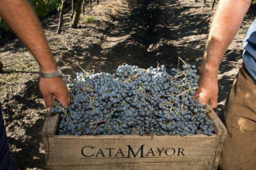 Why Uruguay has made it to my bucket list