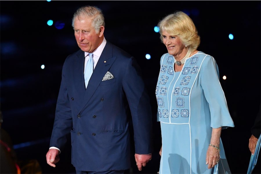 Public to rub shoulders with the royals