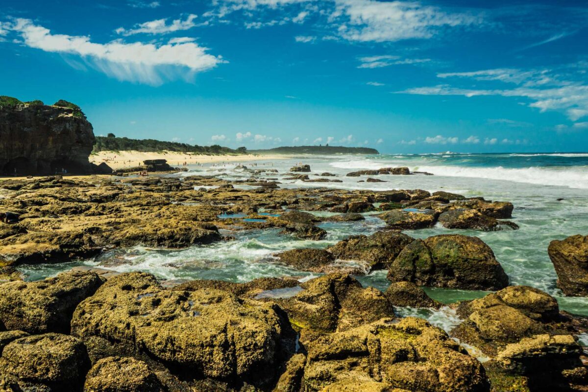 Country roads taking Aussies home at a two year high
