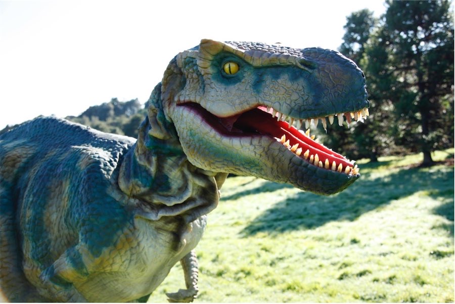 Last days for the ‘roarsome’ awesome dinosaur experience