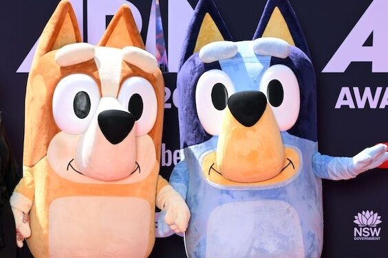 Do the Heelers eat popcorn? TV hit Bluey becomes a film