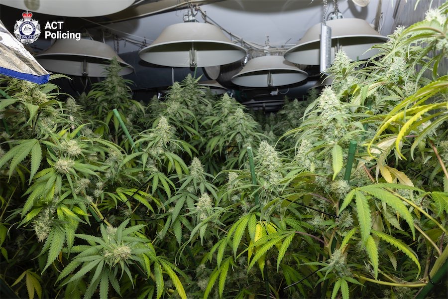 Man arrested after Kaleen drug bust