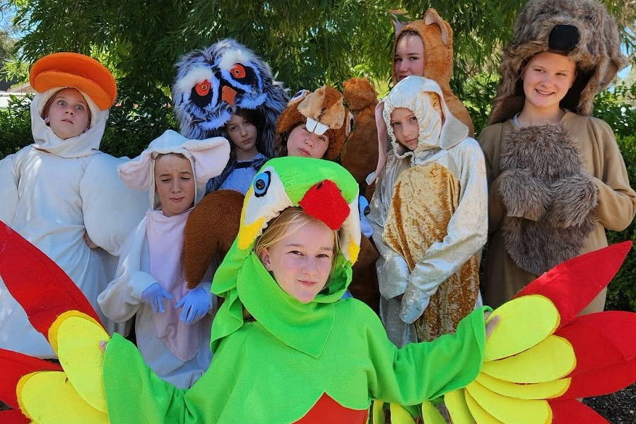 Dr Dolittle offers a double dose of holiday fun