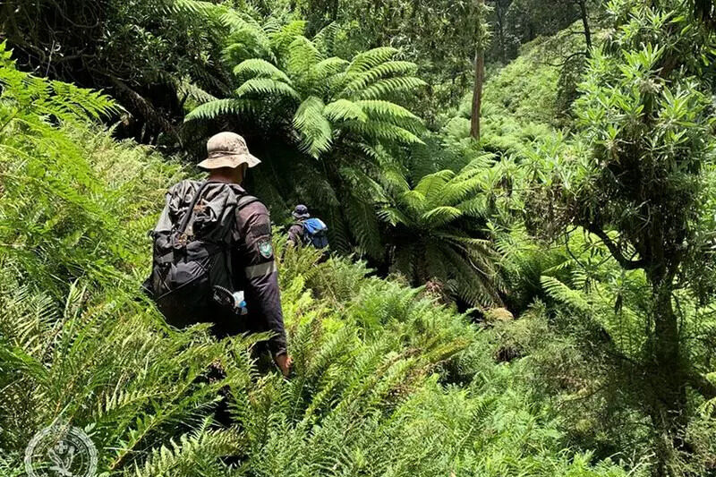 Hiker’s camera found as search in rugged bush goes on