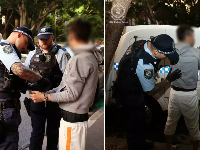 Second man charged after attempted synagogue arson